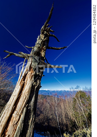 冬の毛無山稜線から見る南アルプスの山並み 129484882