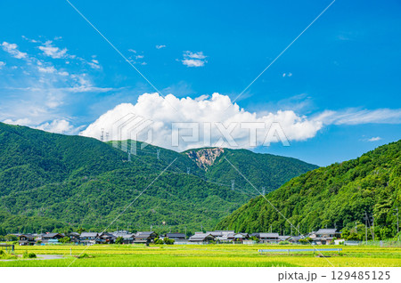 マキノののどかな田園風景　滋賀県高島市 129485125