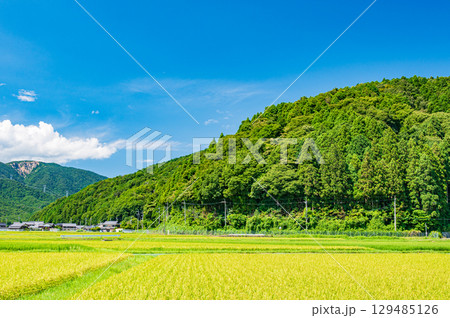 マキノののどかな田園風景　滋賀県高島市 129485126