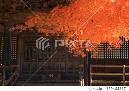 紅葉に包まれた寺院の参道 紅葉に包まれた寺院の参道 129485287