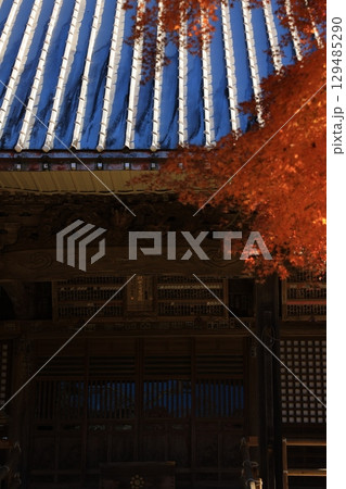 紅葉に包まれた寺院の参道 紅葉に包まれた寺院の参道 129485290