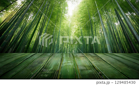 下から広角に眺める竹林の背景 129485430