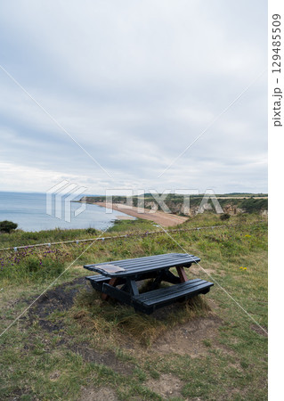 Nose's point beach and cliffs view . English Channel coast of northern England. Hartlepool, UK.  129485509