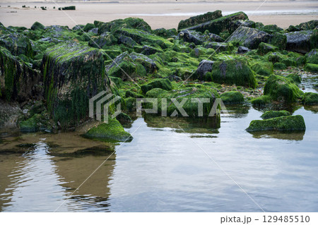Nose's point beach and cliffs view . English Channel coast of northern England. Hartlepool, UK.  129485510