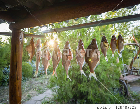 Dried fish hanging on the rope. Preparing fish for consumption. Preparing fish for long-term storage Dried fish hanging on the rope. Preparing fish for consumption. Preparing fish for long-term storage 129485525