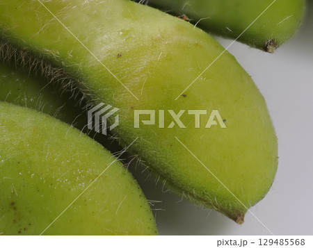 枝豆 129485568