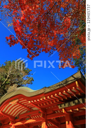 紅葉のある風景 129485737