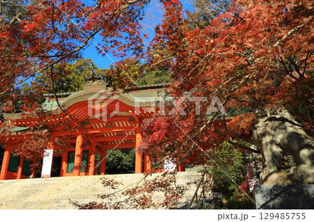 紅葉のある風景 紅葉のある風景 129485755