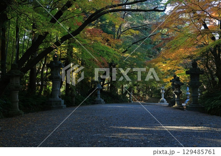 紅葉のある風景 129485761