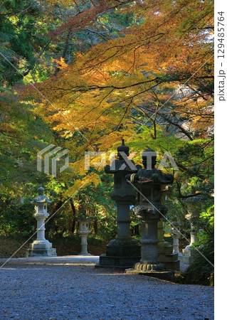 紅葉のある風景 紅葉のある風景 129485764