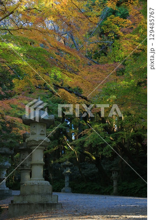紅葉のある風景 129485767