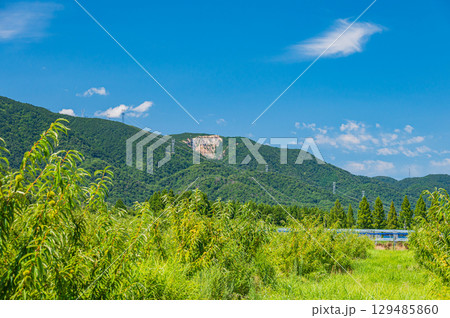 高島市マキノ町のメタセコイア並木側の栗園　滋賀県 129485860