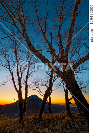 朝霧高原・雨ヶ岳から見る夜明け間近の富士山 129486004