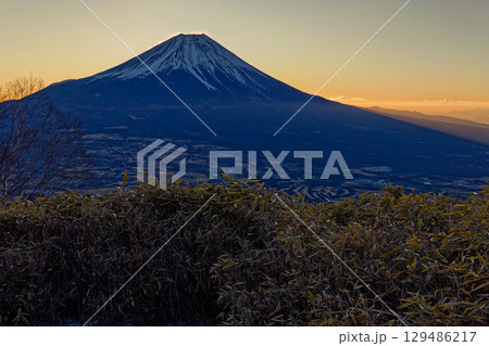 朝霧高原・雨ヶ岳から見る夜明けの富士山 129486217