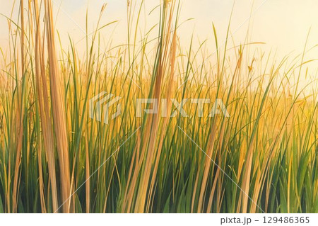 自然が描く爽やかなストライプ模様 129486365