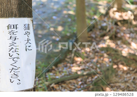 猫や犬に餌を与えないでくださいの張り紙 129486528