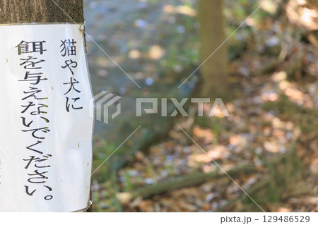 猫や犬に餌を与えないでくださいの張り紙 猫や犬に餌を与えないでくださいの張り紙 129486529