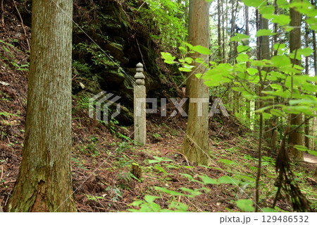 高野山町石道(百八町石) 【和歌山県かつらぎ町・九度山町】 高野山町石道(百八町石) 【和歌山県かつらぎ町・九度山町】 129486532