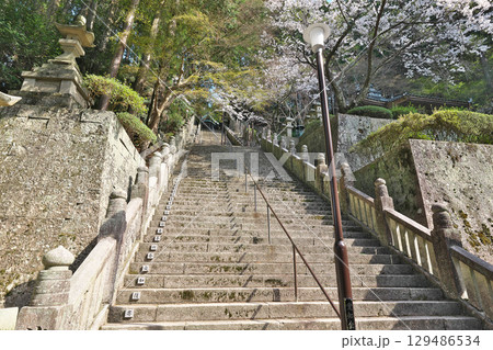 【箸蔵寺 (参道)】 徳島県三好市池田町州津蔵谷 【箸蔵寺 (参道)】 徳島県三好市池田町州津蔵谷 129486534