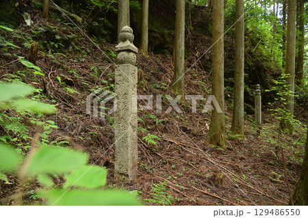 高野山町石道(二里石と百八町石) 【和歌山県かつらぎ町・九度山町】 高野山町石道(二里石と百八町石) 【和歌山県かつらぎ町・九度山町】 129486550