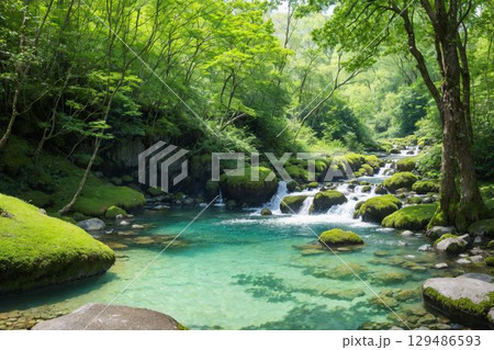 夏の涼を感じる渓流の風景 129486593