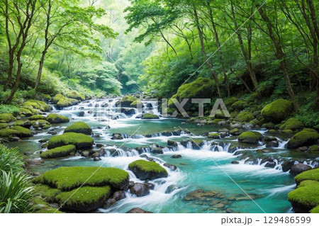 森林浴を楽しむ癒しの川辺 129486599