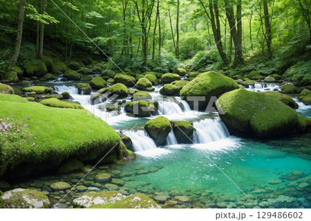 水のせせらぎが響く癒しの渓谷 129486602