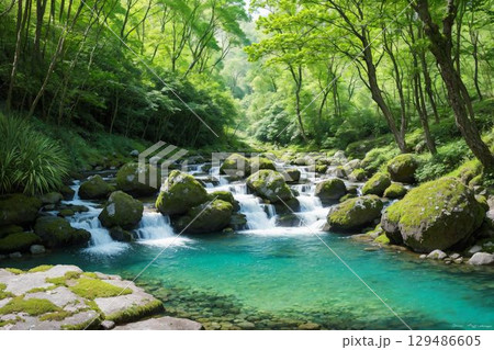 苔と清流が織りなす癒しの森 129486605