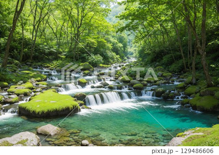 透明な水と苔石のコントラスト 129486606