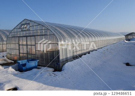 豪雪地方のビニールハウス 豪雪地方のビニールハウス 129486651