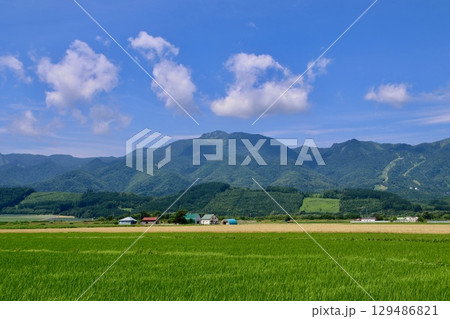 中富良野・畑と山々(北海道・中富良野町) 中富良野・畑と山々(北海道・中富良野町) 129486821