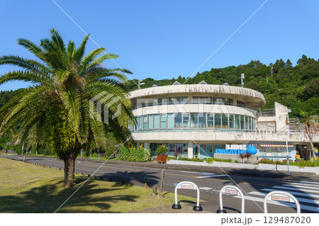 宮崎県日南海岸沿いの観光拠点 道の駅フェニックスとヤシの木 宮崎県日南海岸沿いの観光拠点 道の駅フェニックスとヤシの木 129487020