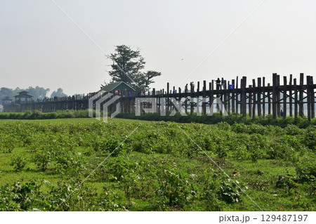 ミャンマー、アマラプラ、ウーベイン橋、世界最長の木造橋 129487197