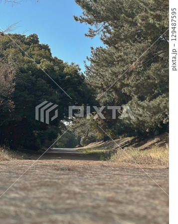 冬の晴れた日の散歩道 冬の晴れた日の散歩道 129487595