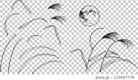 Illustration of pampas grass and the moon drawn with a pen Illustration of pampas grass and the moon drawn with a pen 129487776