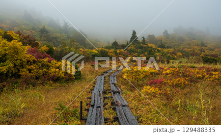 秋の栗駒山登山（須川温泉～産沼） 129488335