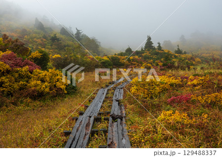 秋の栗駒山登山(須川温泉~産沼) 秋の栗駒山登山(須川温泉~産沼) 129488337