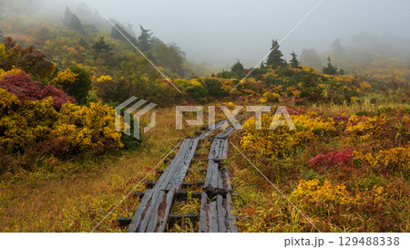秋の栗駒山登山（須川温泉～産沼） 129488338