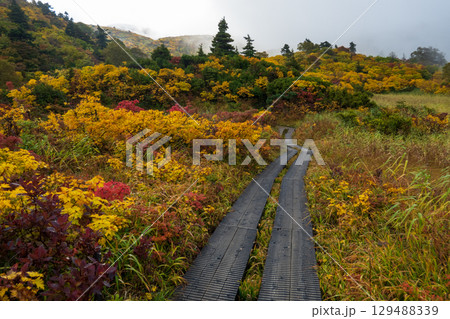 秋の栗駒山登山（須川温泉～産沼） 129488339