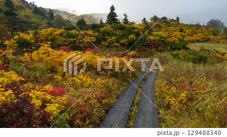 秋の栗駒山登山（須川温泉～産沼） 129488340