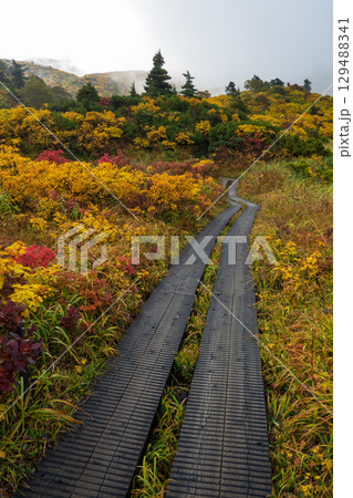 秋の栗駒山登山（須川温泉～産沼） 129488341