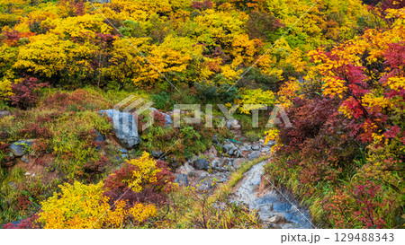 秋の栗駒山登山（須川温泉～産沼） 129488343