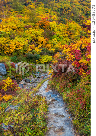 秋の栗駒山登山（須川温泉～産沼） 129488373