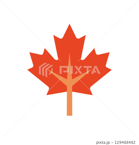 Classic maple leaf silhouette. Vector 129488482