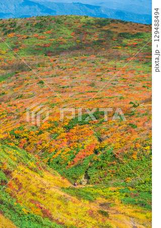 秋の栗駒山登山（産沼～東栗駒山） 129488494