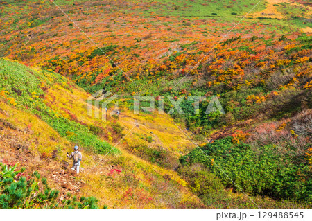 秋の栗駒山登山（産沼～東栗駒山） 129488545