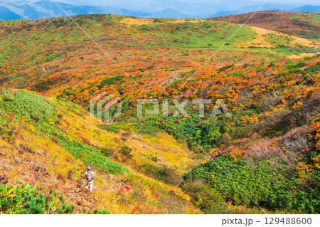 秋の栗駒山登山（産沼～東栗駒山） 129488600