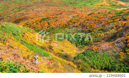 秋の栗駒山登山（産沼～東栗駒山） 129488601
