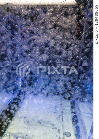 加茂水族館のバックヤードツアー 加茂水族館のバックヤードツアー 129488665