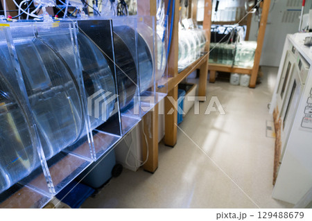 加茂水族館のバックヤードツアー 129488679